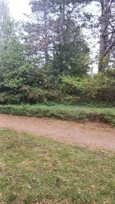 WhoIsElijah - Zawsze mnie r---------a jak ten oszołom na koniec każdej rolki wychodzi...