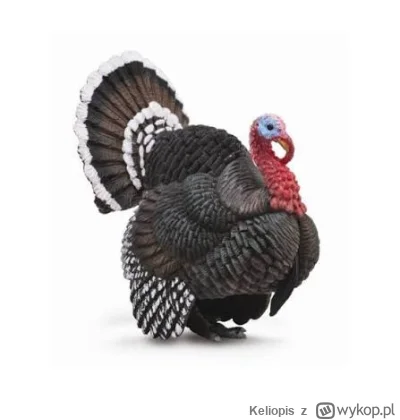 Keliopis - @uncle_freddie: Ten komentator jak indor ( ͡º ͜ʖ͡º)