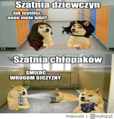 Plotkova99 - #humorobrazkowy #szkola #heheszki