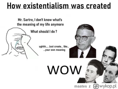 maates - @UwaznyAscetaXD: O Sartre? Szanuje. Sam egzystencjalizm, choć za egzystencja...