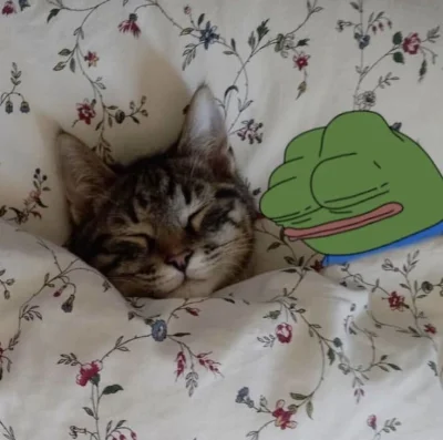 HorrorystycznyDemonPagona - @Szyszkalogin: good night bro