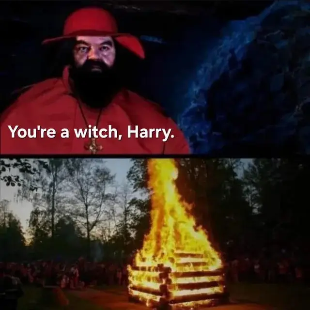 Tetrachloroizoftalonitryl - #harrypotter