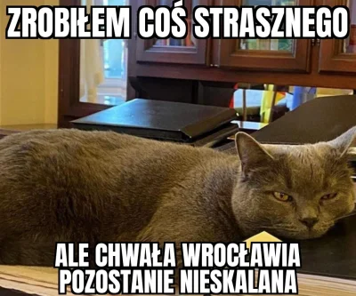 Krs90 - #wroclaw #kotwrocek #sutryk #heheszki