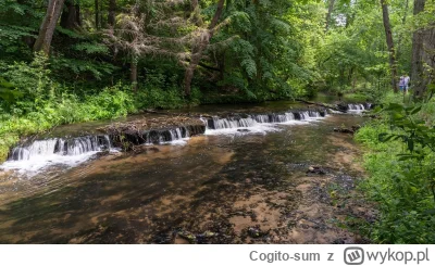 Cogito-sum - @R2D2zSosnowca: Bardzo ładne, lubię takie klimaty. Byłeś na Roztoczu? My...