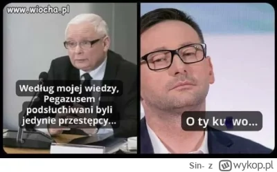 Sin- - #heheszki #bekazpisu #pis #polityka