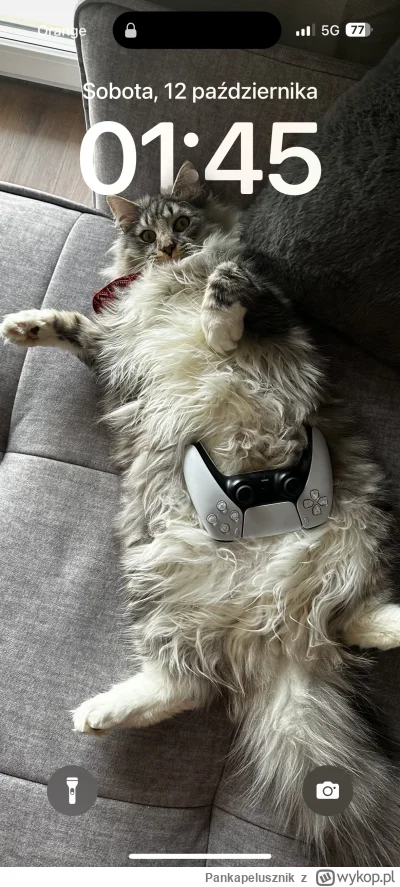 Pankapelusznik - @RicoElectrico Ja mam takiego gracza na chacie ( ͡° ͜ʖ ͡°)