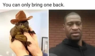 Atreyu - >Zamieszki wywołane przez wiewiórkę?

@solarris: wiewiórka nikomu krzywdy ni...