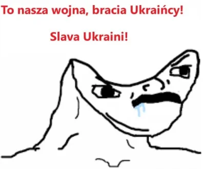 JohnTravoltta - Jedna z moich ulubionych racjonalizacji ukrofilskich dzbanów:

"PrzeC...