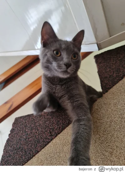 bajeron - @klefonafide