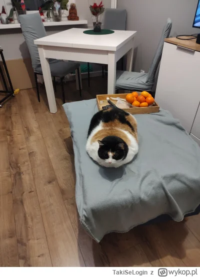 TakiSeLogin - @TakiSeLogin