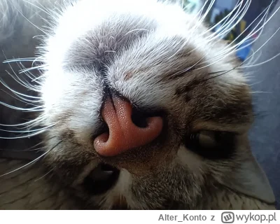 Alter_Konto - #pokazkota
Weekend (｡◕‿‿◕｡)