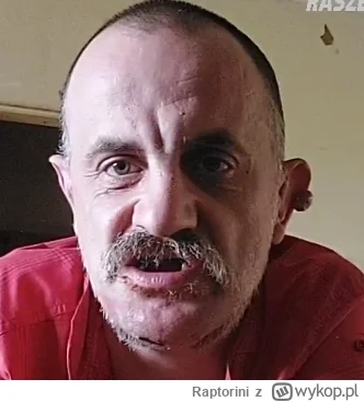 Raptorini - I tak jakoś leci #danielmagical