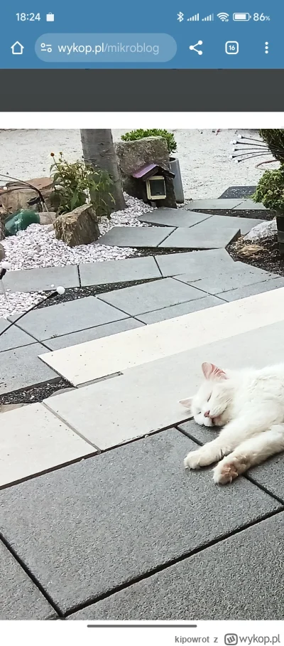 kipowrot - @TomcioPalushek: kurna kto to wymyślił te schody i te kamienie ( ͡° ʖ̯ ͡°)