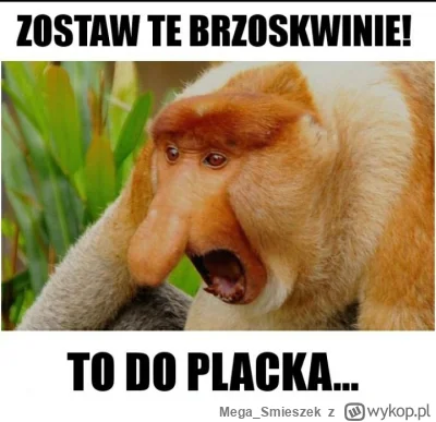 Mega_Smieszek - Dlaczego w Polsce jest taki kult brzoskwini? Ja osobiście nienawidzę ...