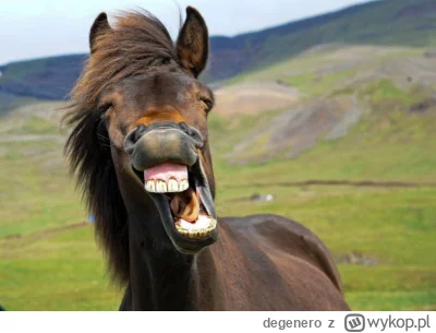 degenero - #galamistrzowsportu #galamistrzowsportu