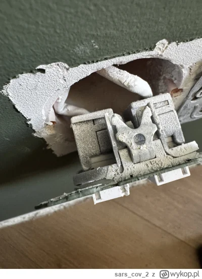 sarscov2 - @sarscov2