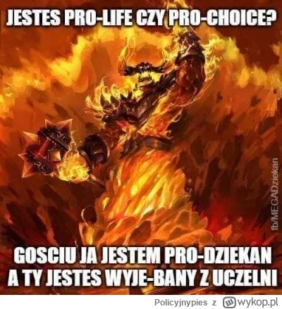 Policyjnypies - @czlowiekzlisciemnaglowie: