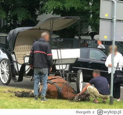 thorgoth - W zeszłym tygodniu na promenadzie w Świnoujściu padł koń ciągnący dorożkę ...