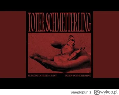 Saeglopur - Z ciekawości @Miteora słyszałeś, widziałeś nagrania z grania tego?
#kultu...