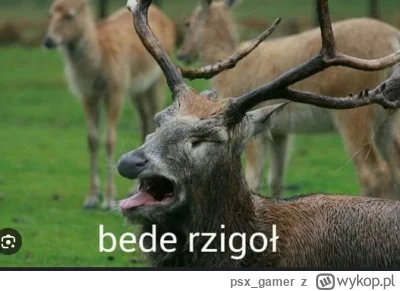 psx_gamer - @dizel81: chryste panie