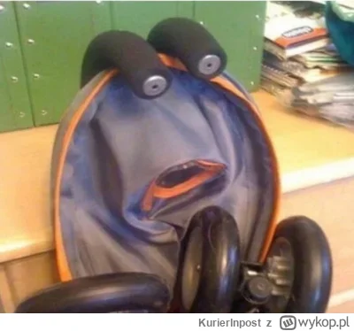 KurierInpost - Kiedy znajdziesz jedyną pozytywną opinię o wypo 2.0
#wykop