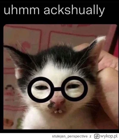 stulejan_perspective