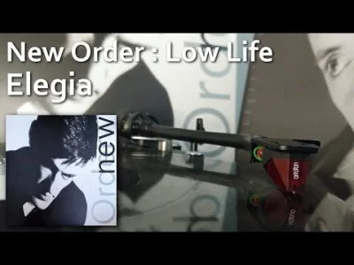 Lifelike - #muzyka #newwave #synthpop #rockalternatywny #neworder #80s #90s #winyl #l...