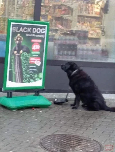 anoysath - #heheszki #humorobrazkowy