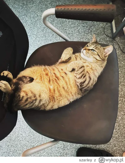 szarley - @vanitydomain ale rozładowuje złość robiąc brzuszki