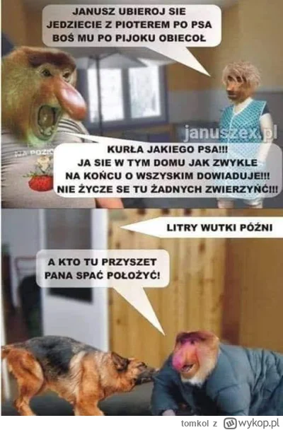 tomkol - #konkursnanajbardziejgownianymemznosaczem