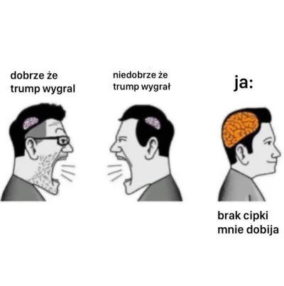 trypson_tryptaminka - #wybory #trump #wykopface