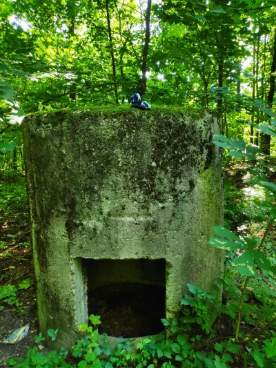 karoryfer - Nawet bunkry były.