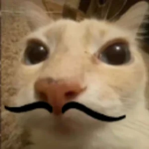 ActiveekHere - ---------> 400 obserwujących!! <---------

Mały apel do wszystkich now...