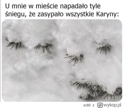 adi0 - #heheszki #p0lka #zima