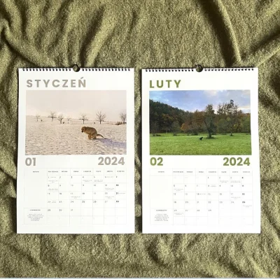 sargento - @Pan_krecik: znalazłem kalendarz dla ciebie. Na każdy miesiąc inne zdjęcie...
