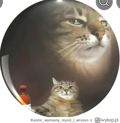 Kantorwymianymysliiwrazen - Czy to nie jest "przypadkiem" Stepan? Na znaczku, przypin...