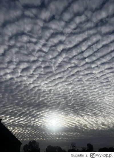Gupiutki - czegoś takiego jeszcze nie widziałem xDD co to jest? #niebo zapraszam wszy...