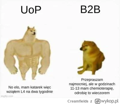 Creamfields - #programista15k #korposwiat