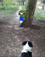 wfyokyga - Dzień dobry