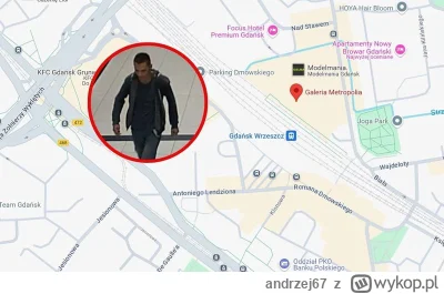 andrzej67 - Nie mogli mniejszego zdjęcia wkleić? Po cholerę ta mapa w jego tle?