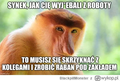 BlackpillMonster - #programista15k #programowanie #pracait #korposwiat