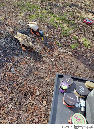 kazzr - Dzisiaj zamiast rybki weszła pyszna pierś z kaczki na obiad ( ͡º ͜ʖ͡º) #wedka...