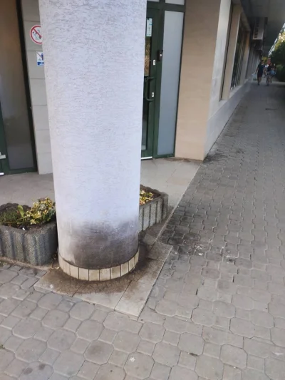 growing3902 - Lokalny psi pisuar.
Coście #psiarze uczynili z #Warszawa?
#psy #patolog...