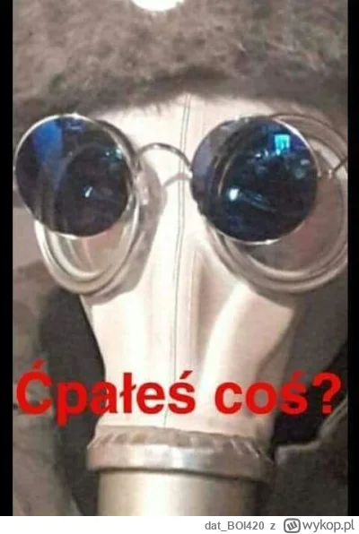 dat_BOI420 - @lukqsk