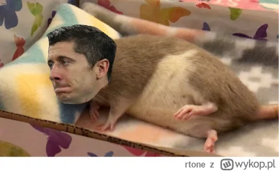 rtone - Żul strzelców

#konkursnanajbardziejgownianymemznosaczem