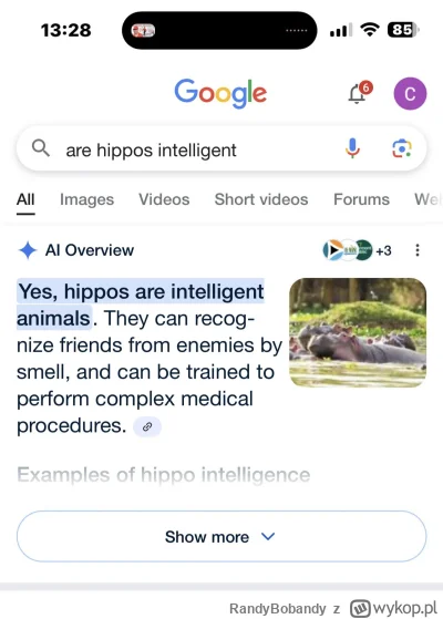 RandyBobandy - #ai #sztucznainteligencja #heheszki