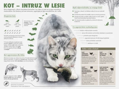 Lifelike - #graphsandmaps #przyroda #lasy #koty #infografika