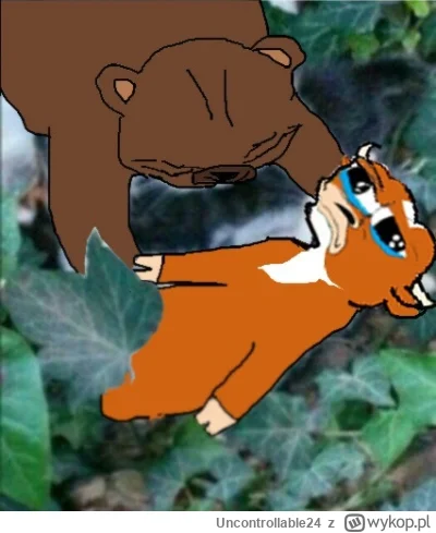 Uncontrollable24 - To już koniec szury spadziowe miały rację ( ͡° ʖ̯ ͡°) #gielda