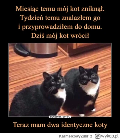 KarmelkowyZubr - @fuwzuez: @Lonate: @Catmmando: