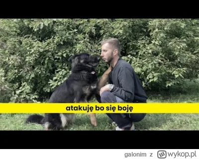 galonim - Jak jest jeszcze na tym tagu ktoś kto ogląda Lucka to mogę polecić kanał Cz...